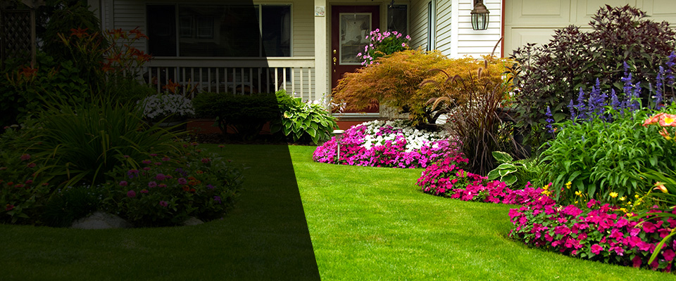 Ashford Landscapers