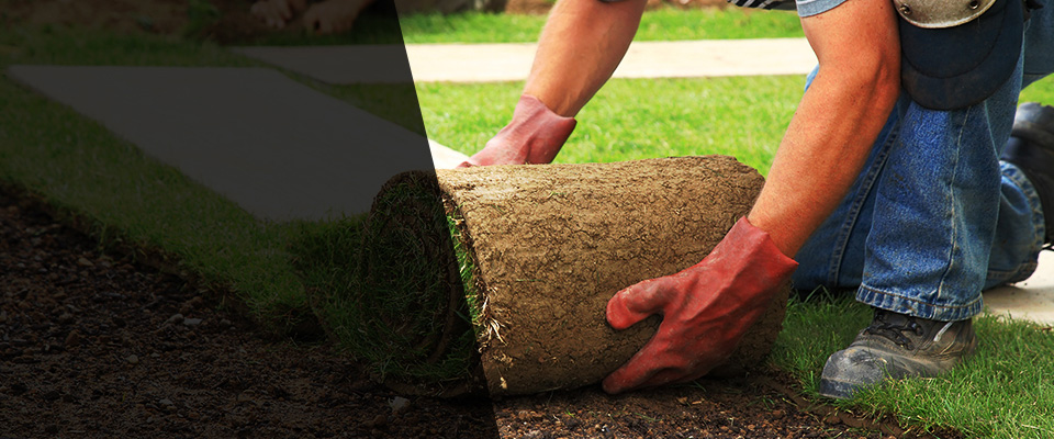 Ashford Landscapers